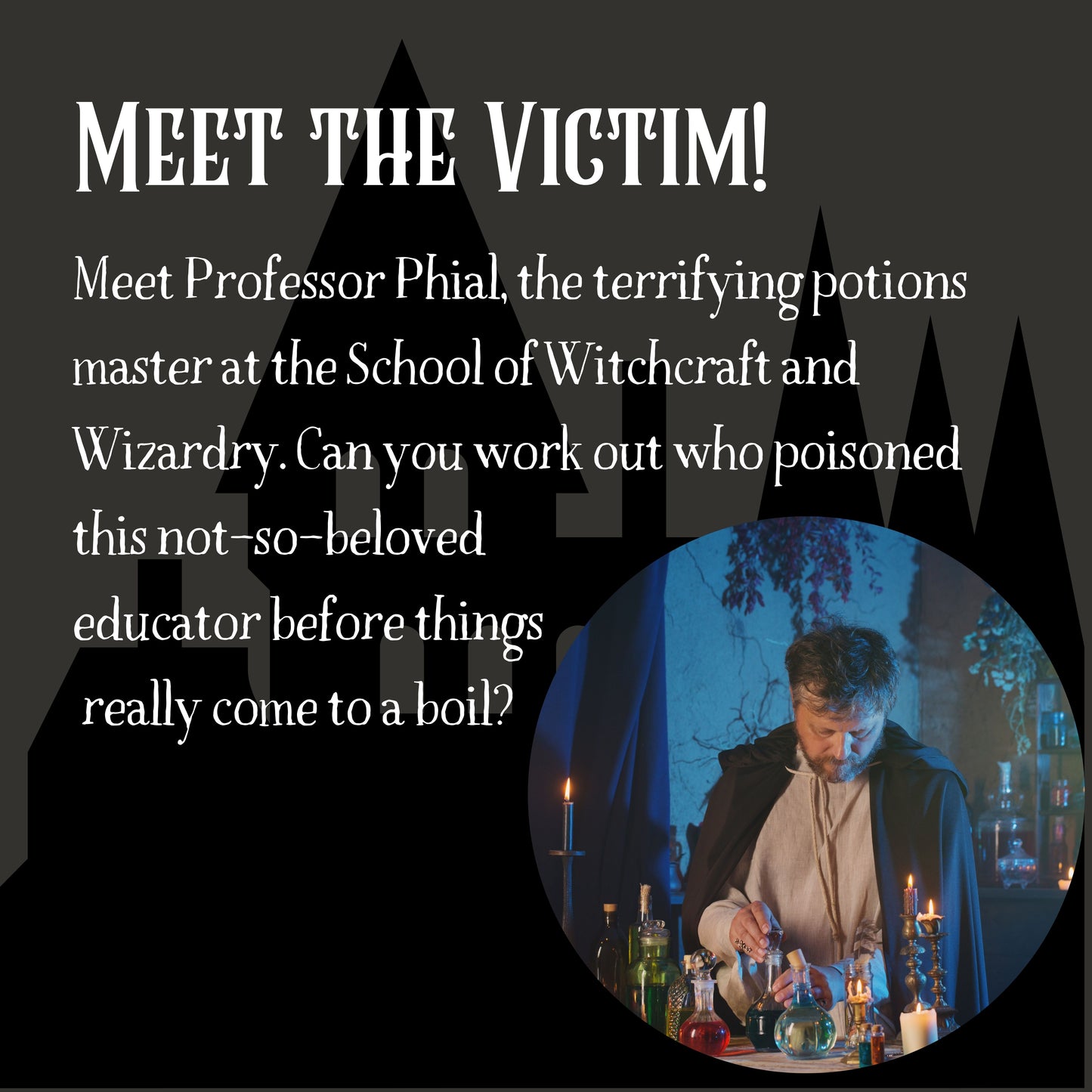 A Harry Potter Inspired Magical Murder Mystery Game (10-20 Guests)